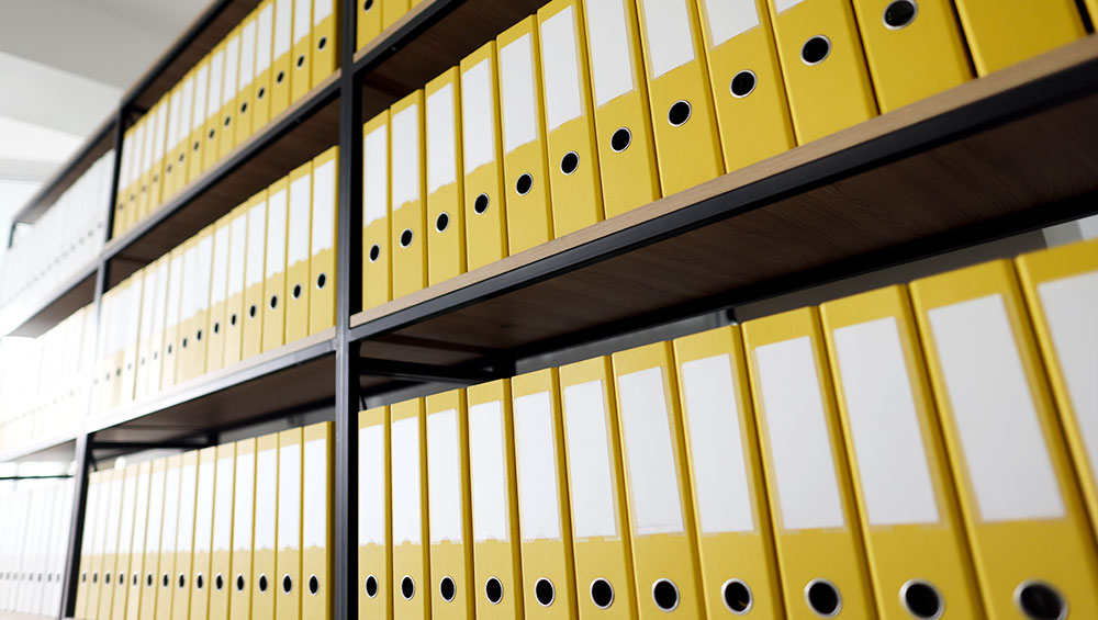 Languages, Fields, and Documents We Specialize In